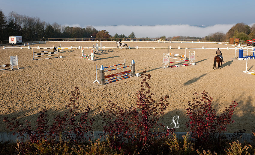 der große Reitplatz, 60x60m